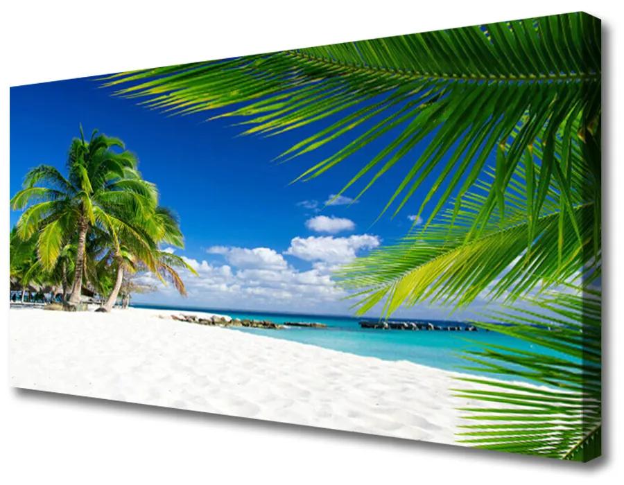 Obraz Canvas Tropická pláž more výhľad 100x50cm