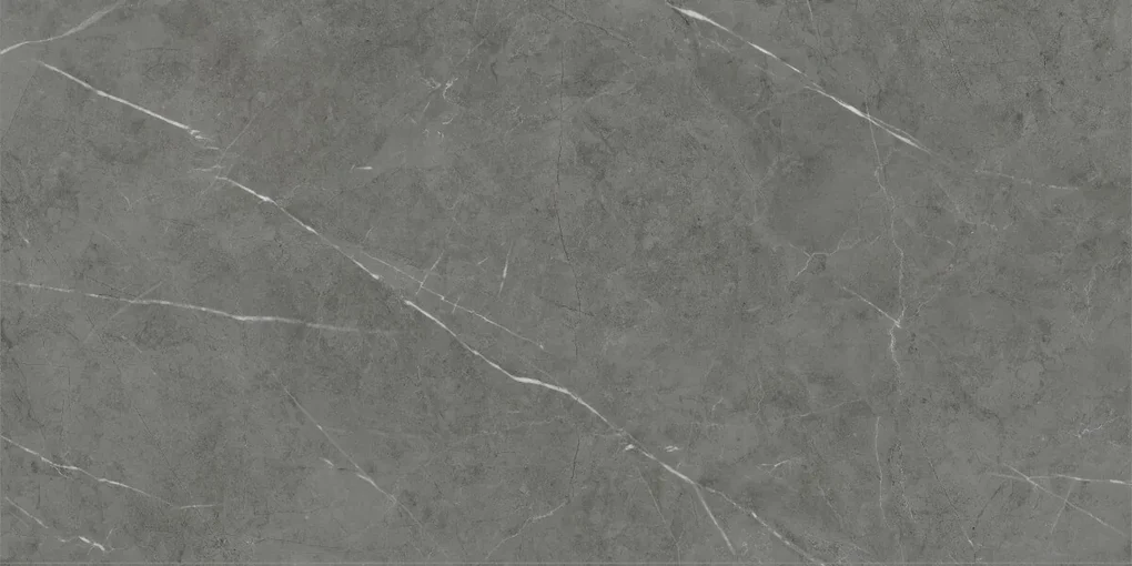 Dlažba Tessino Grey Pulido 60x120 R