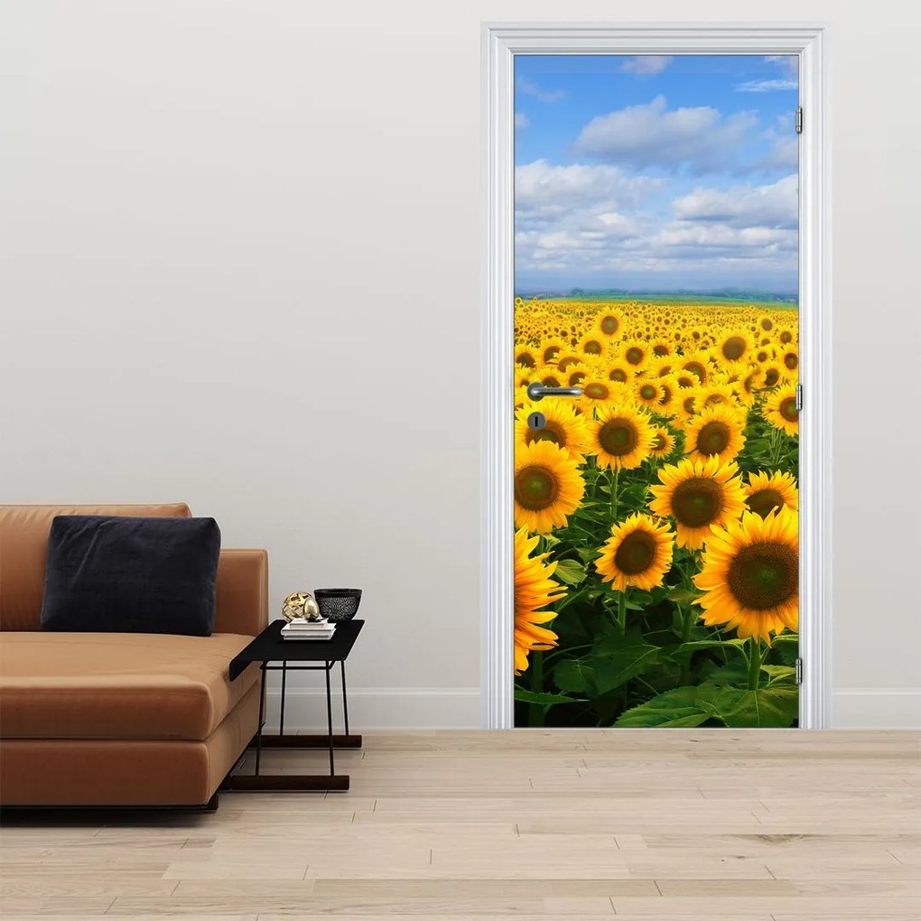 Fototapeta na dvere - Slnečnicové pole (95x205cm)