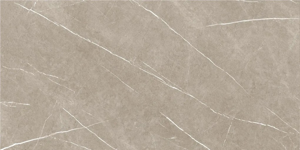 Dlažba Eternal Taupe Pulido 60x120 R