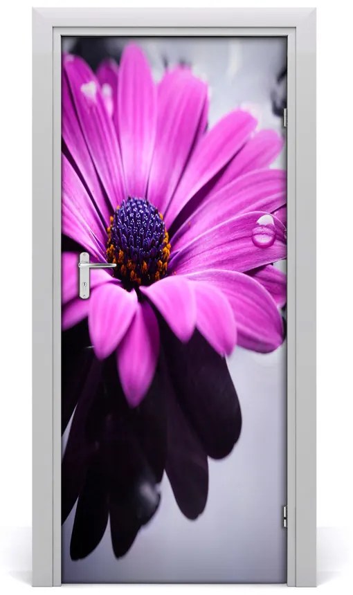 Samolepiace fototapety na dvere ružová gerbera 75x205 cm