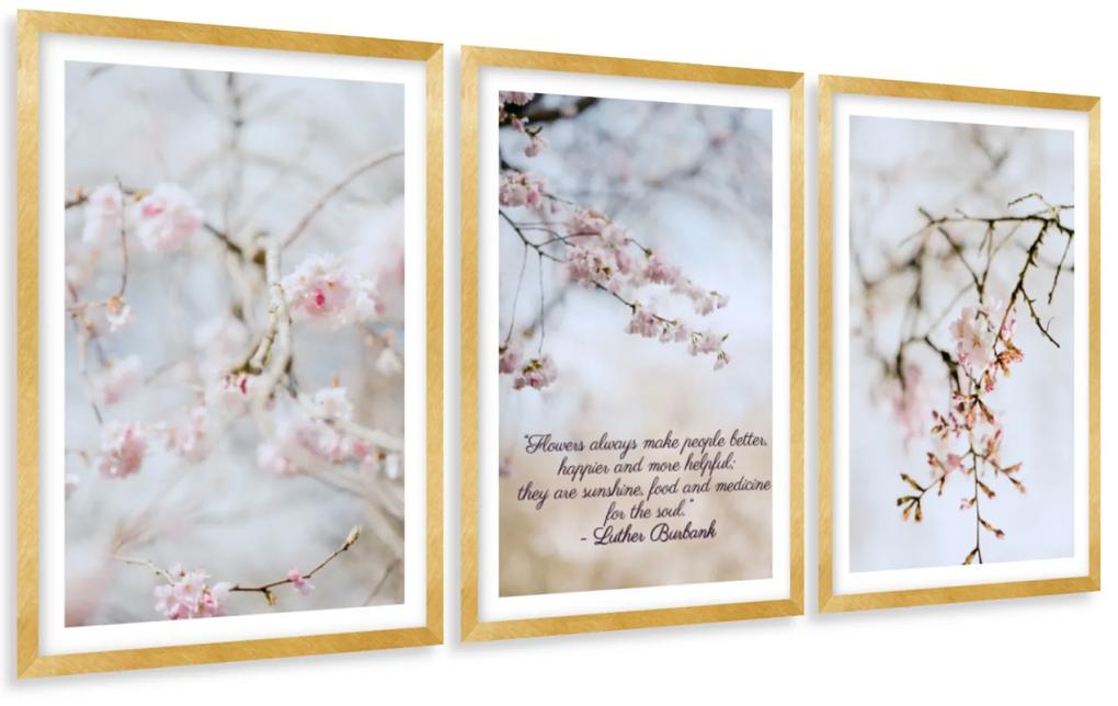 Gario Sada plagátov Kvitnúca višňa - 3 dielna Farba rámu: Rustikálna, Veľkosť: 135 x 63 cm