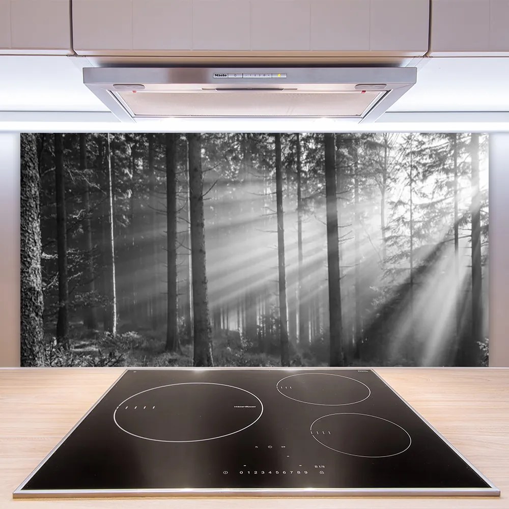 Sklenený obklad Do kuchyne Les príroda lúče slnka 120x60 cm
