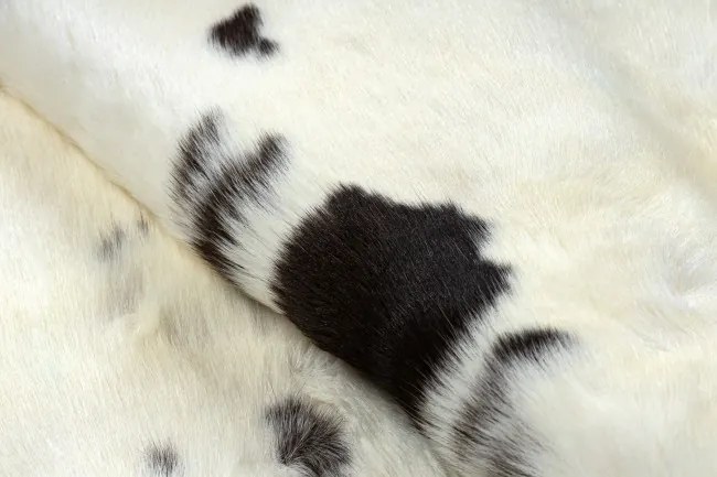 Koberec RENIFER POK007 krémový / sivý