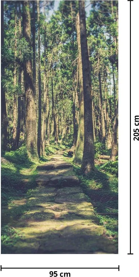 Fototapeta na dvere - Cesta medzi stromami (95x205cm)