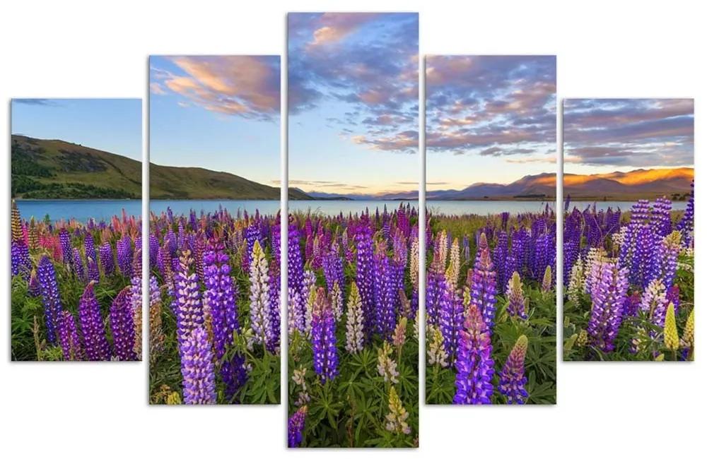 Obraz na plátně pětidílný Levandulové jezero Květiny - 200x100 cm