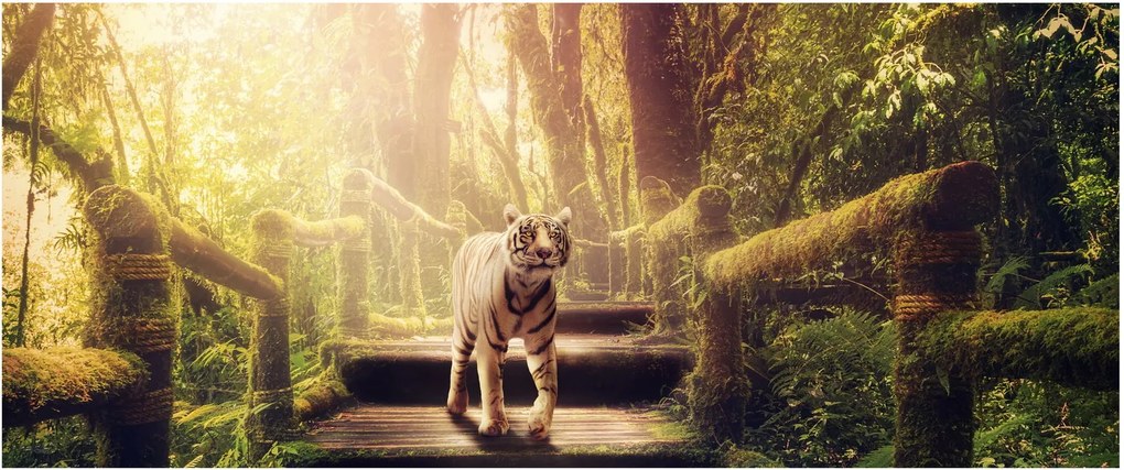 Obraz tigra v džungli (120x50 cm)