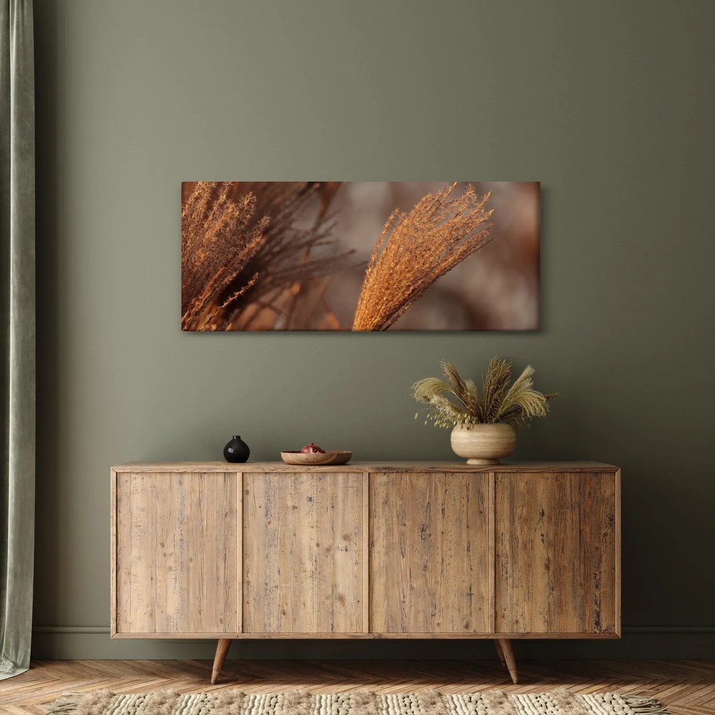 Obraz - Kortadéria (120x50 cm)