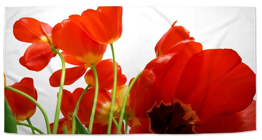 Sablio Uterák Tulipány - 50x100 cm