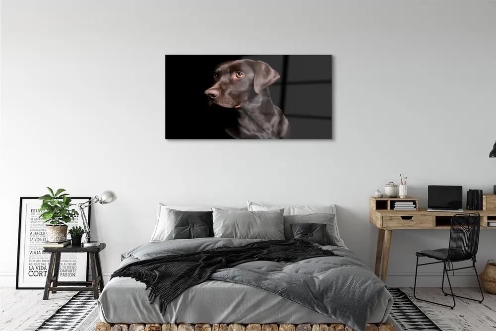 Obraz na akrylátovom skle Hnedý pes 125x50 cm