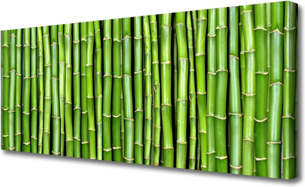 Obraz na plátně Bambus Kvet Rastlina
