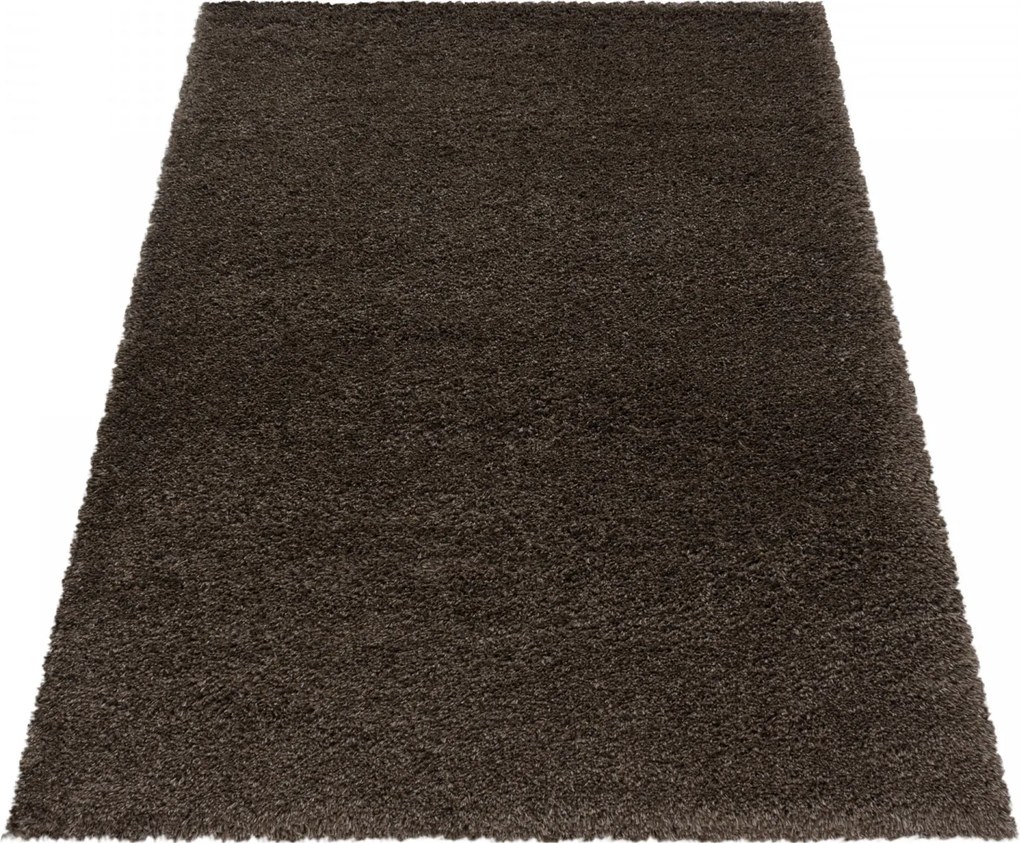 Ayyildiz, AKCIA: 120x170 cm Kusový koberec Fluffy Shaggy 3500 brown, hnedá, obývacia izba