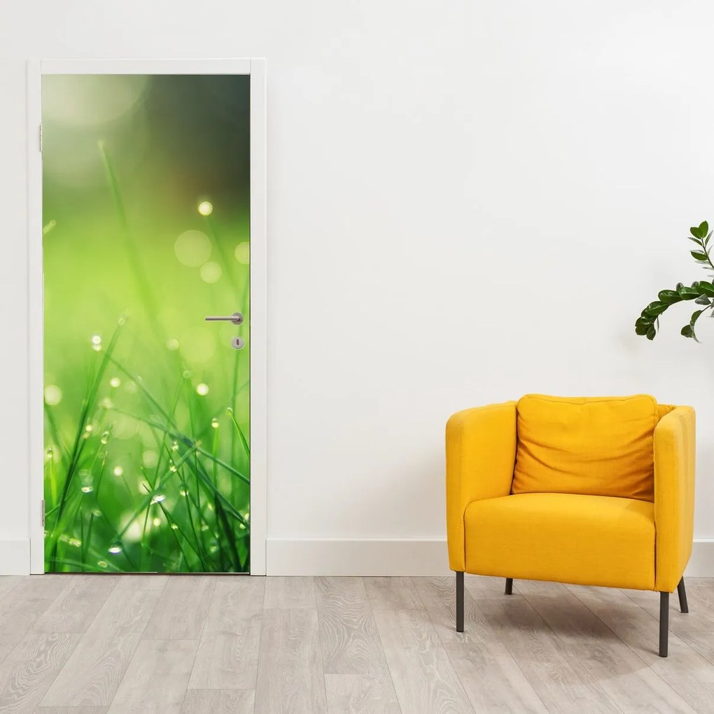 Fototapeta na dvere - Rosa na tráve (95x205cm)