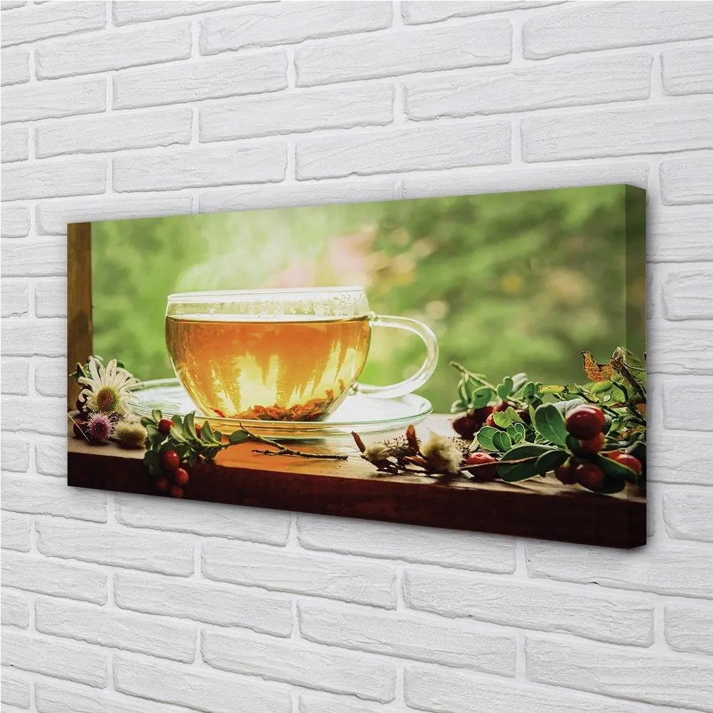 Obraz canvas čaju byliny horúce 125x50 cm