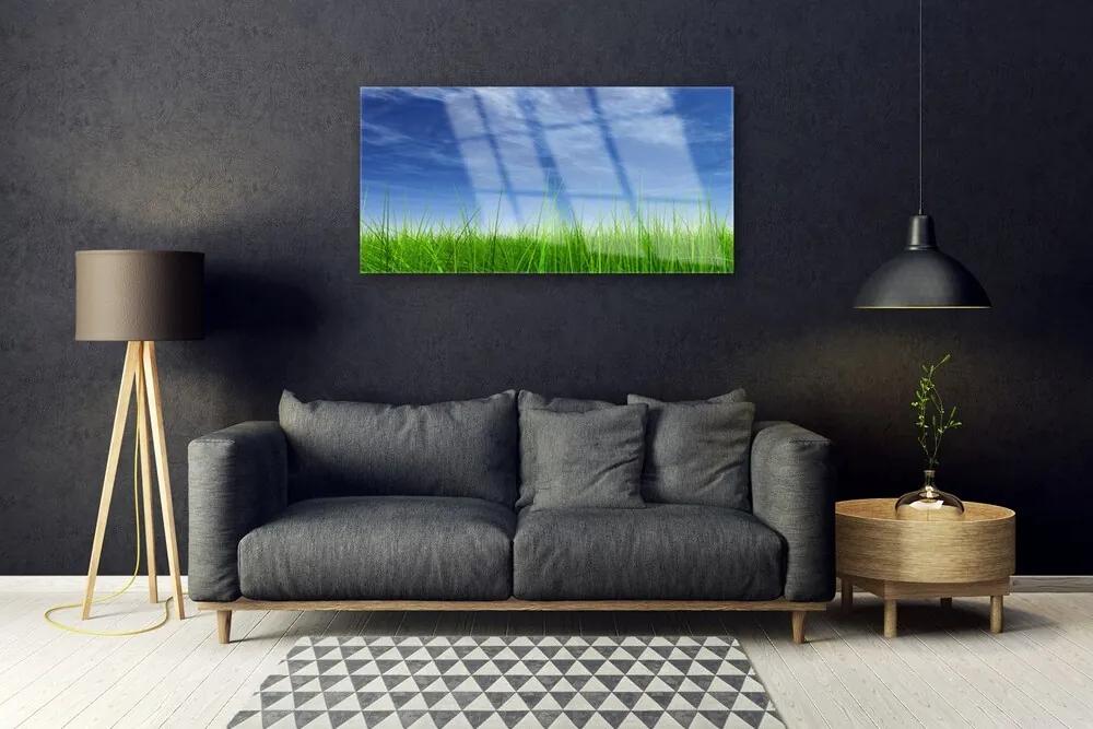 Obraz na skle Nebo tráva príroda 125x50 cm