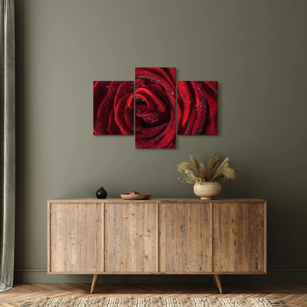 Obraz - Červená ruža s kvapkami rosy (90x60 cm)