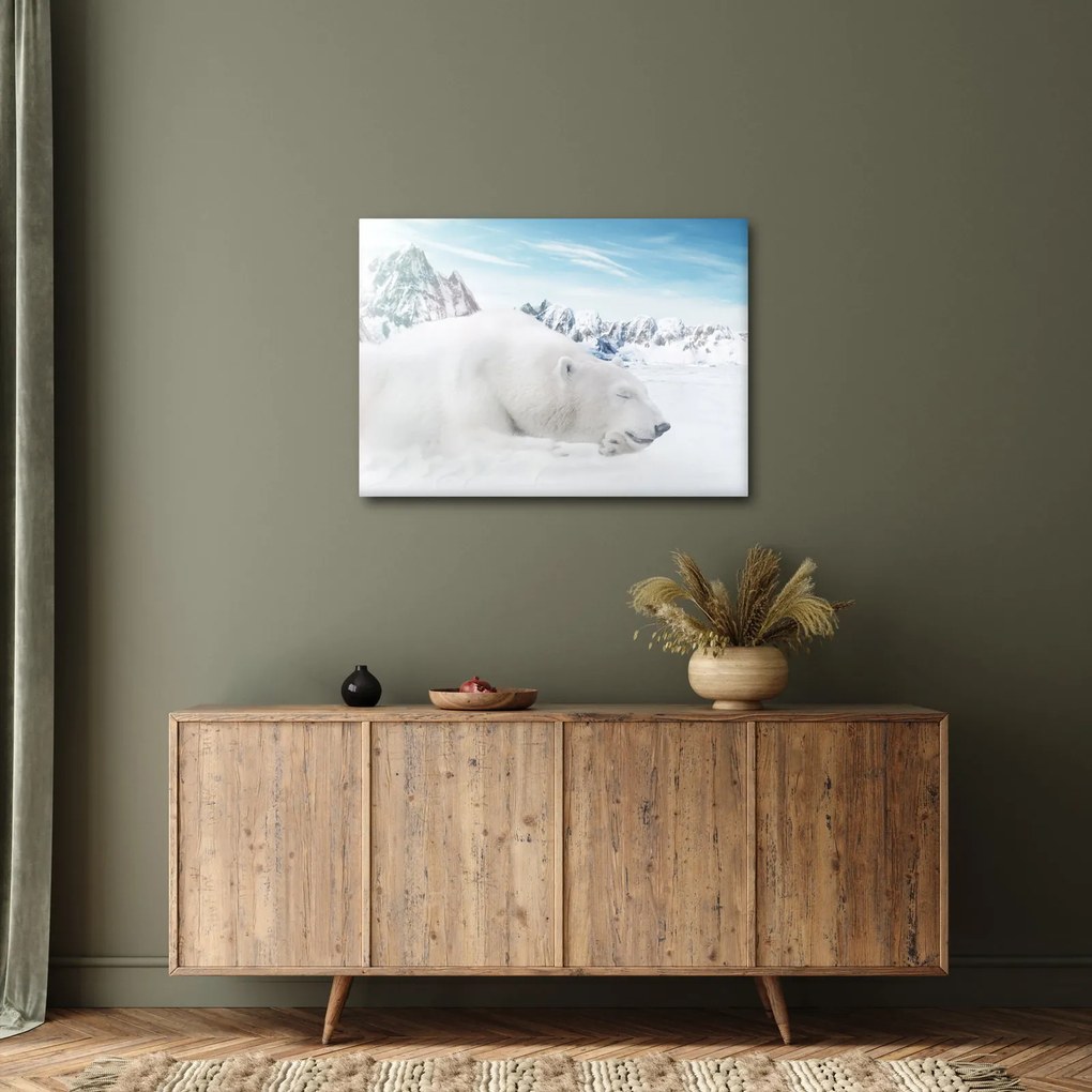 Obraz - Ľadový medveď (70x50 cm)