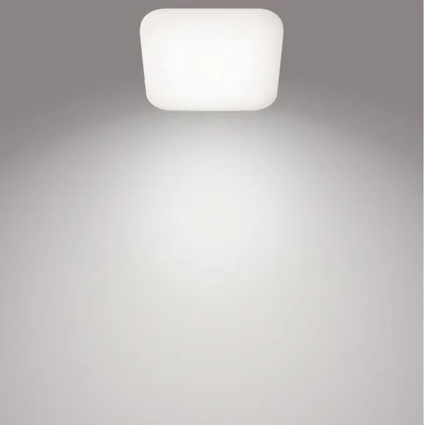 Philips - LED Stropné svietidlo MAUVE LED/24W/230V 4000K