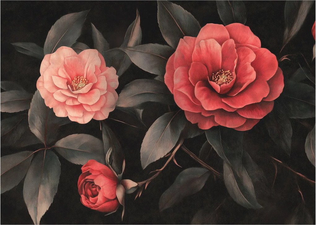 Obraz - Červené kvety na tmavom pozadí (70x50 cm)