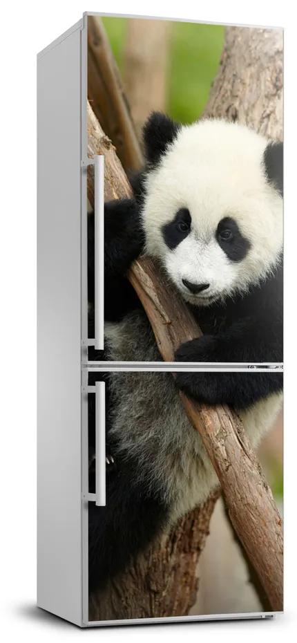 Nálepka fototapeta chladnička Panda na strome FridgeStick-70x190-f-43324424