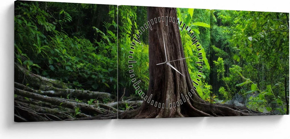 Obraz - Starý strom s koreňmi (s hodinami) (90x30 cm)