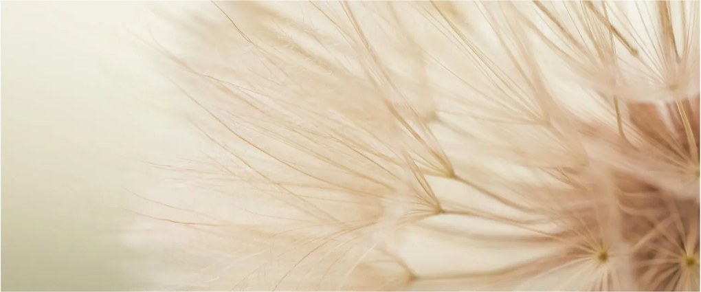 Obraz - Detaily kvetu (120x50 cm)