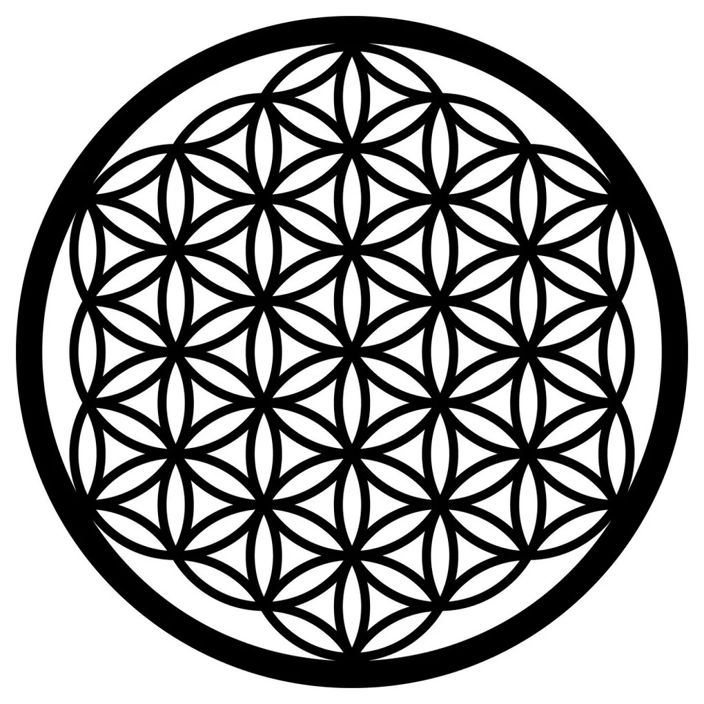 Nástěnná kovová dekorace FLOWER OF LIFE černá