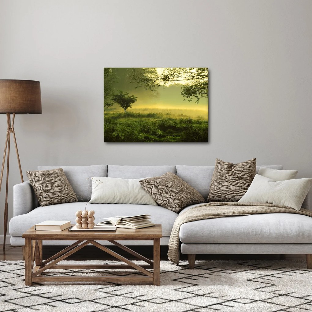 Obraz - Prebúdzajúci sa les (70x50 cm)