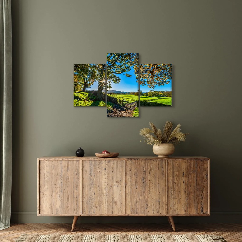 Obraz - Výhľad na pole (90x60 cm)