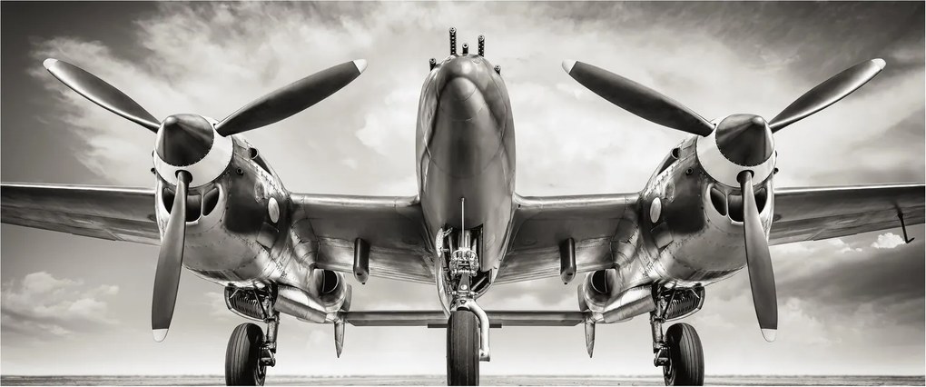 Obraz - Warbird (120x50 cm)