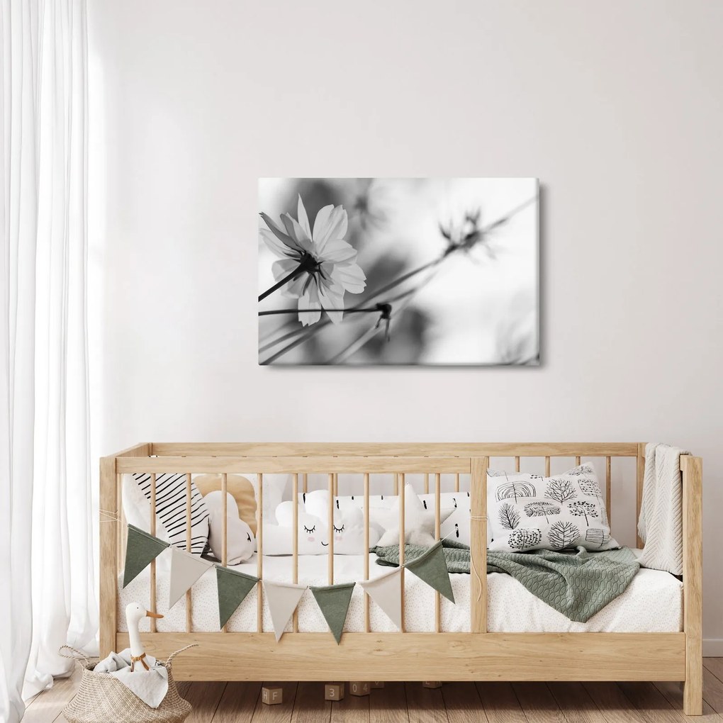Obraz - Čiernobiele kvety (90x60 cm)