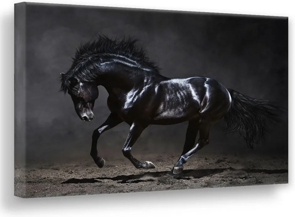 Styler Metalický obraz na plátne - Black horse 113x85 cm