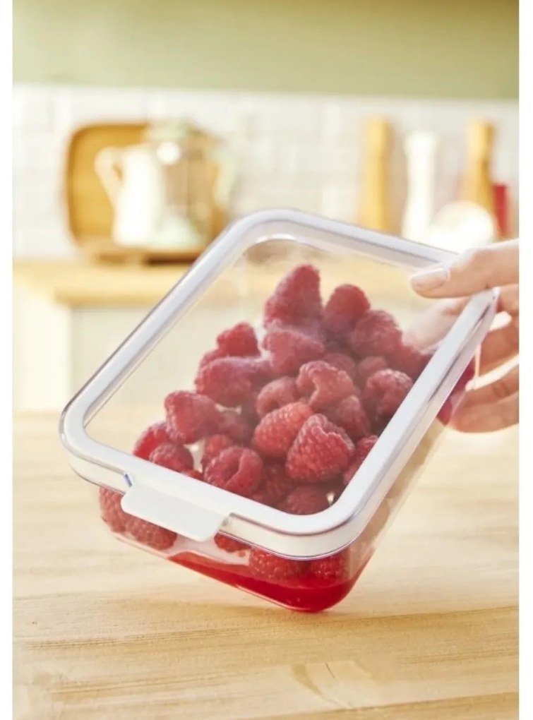 Rotho Organizér do chladničky s vekom a špeciálnou podložkou 1,2l CAUMA