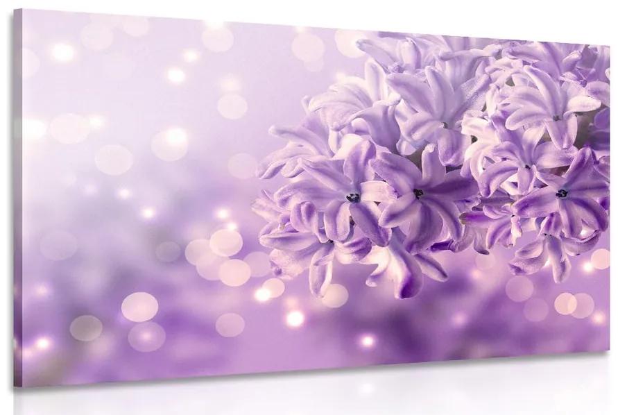 Obraz fialový kvet orgovánu Varianta: 120x80