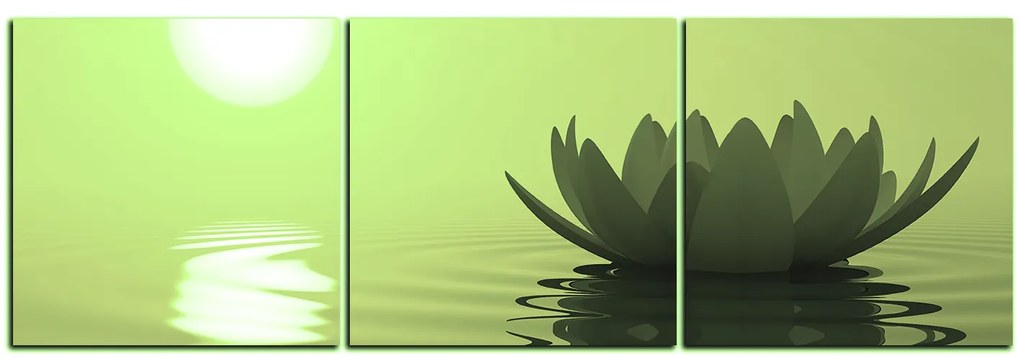 Obraz na plátne - Zen lotus - panoráma 5167ZB (90x30 cm)