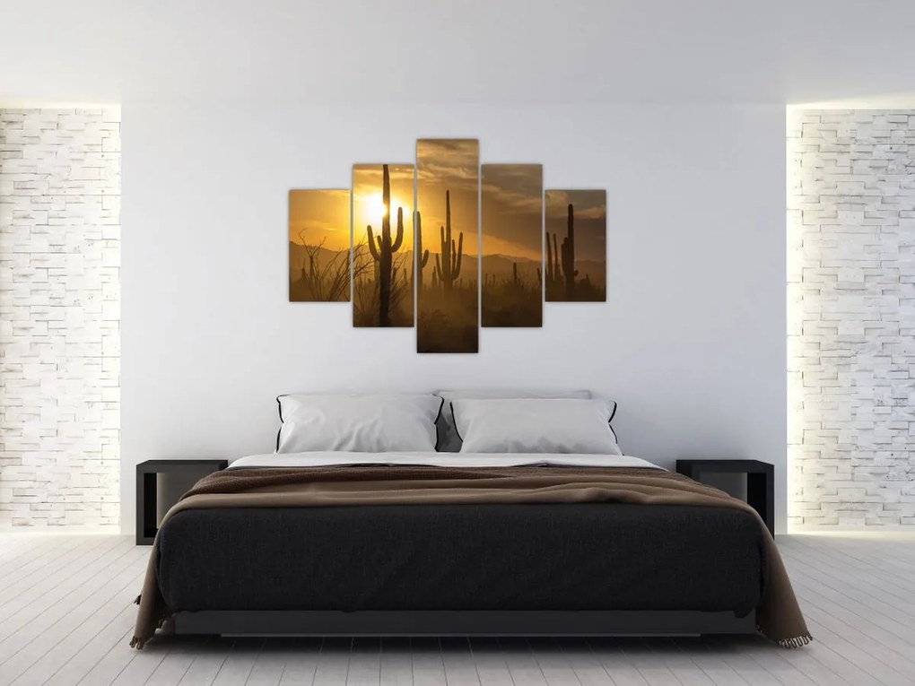 Obraz - Kaktusy Saguaro (150x105 cm)