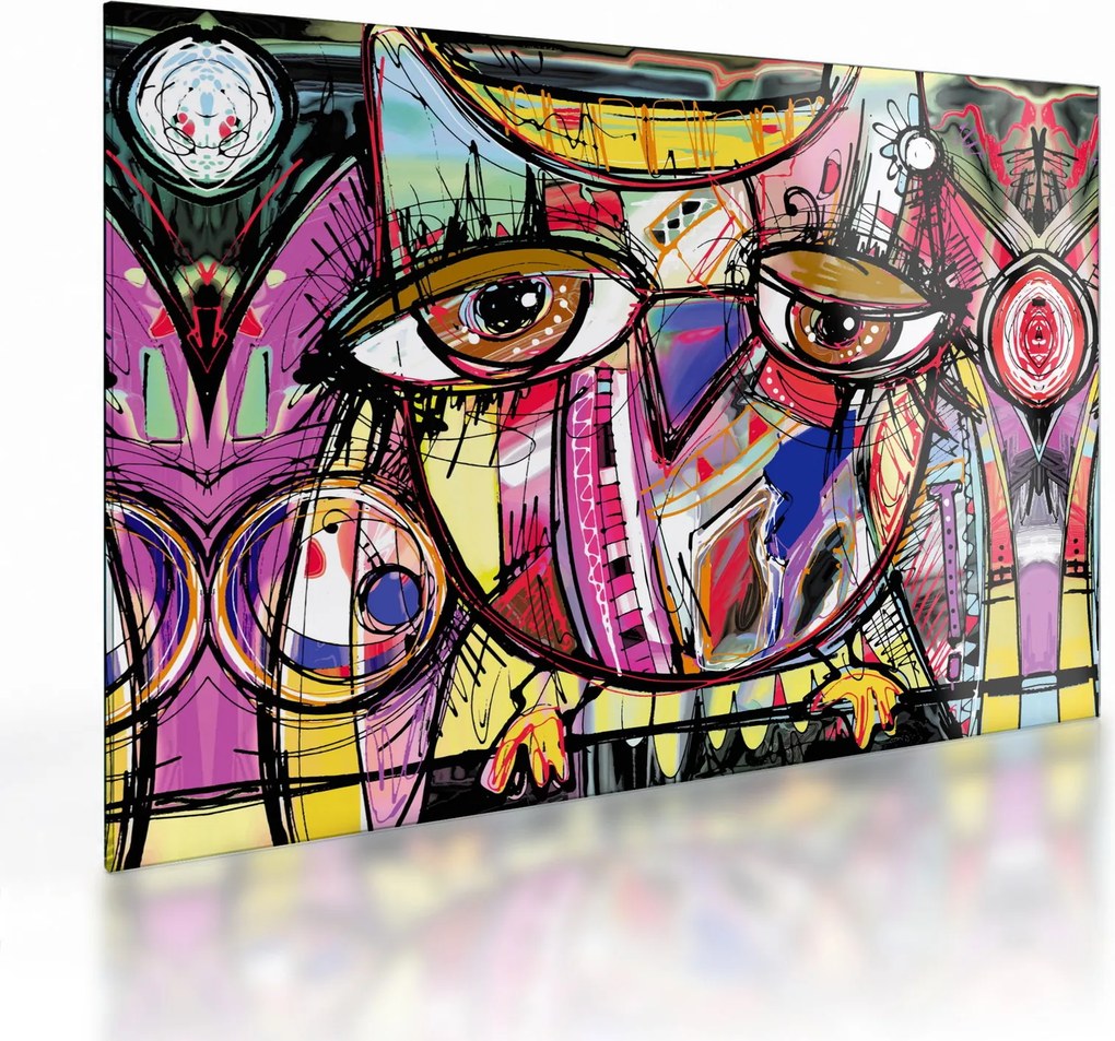 Sklenený obraz - Street art - sova (70x50 cm)
