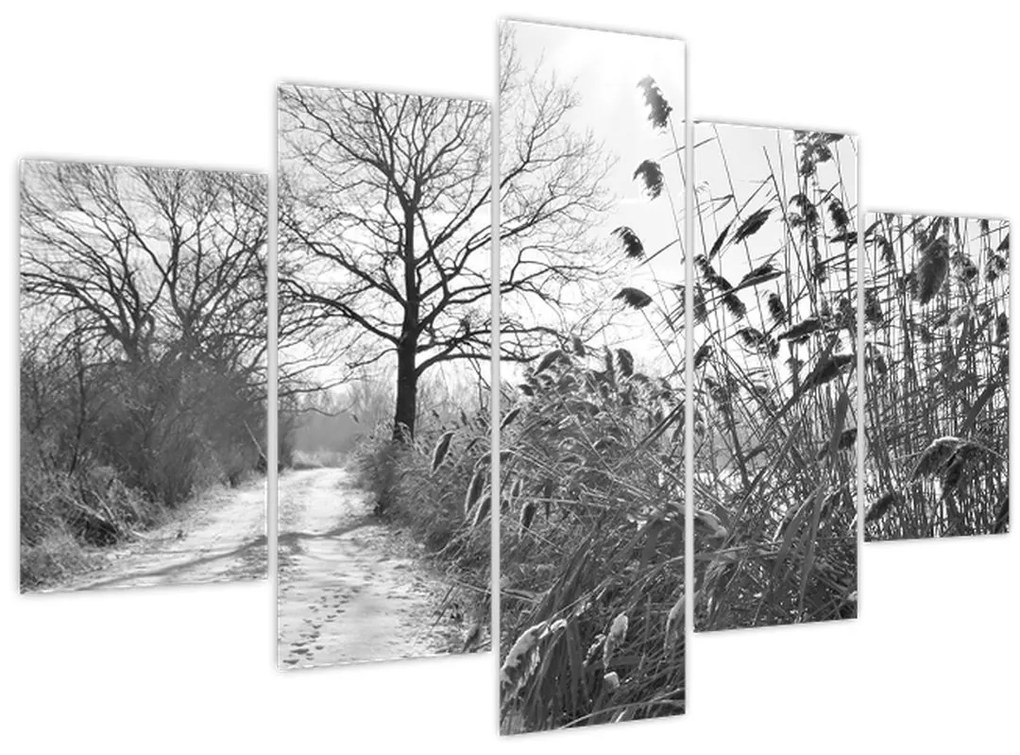 Obraz - Pole v zime (150x105 cm)