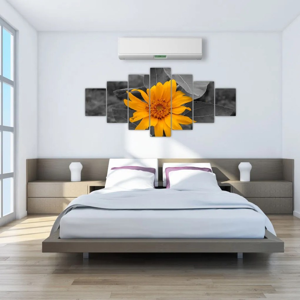 Obraz oranžového kvetu