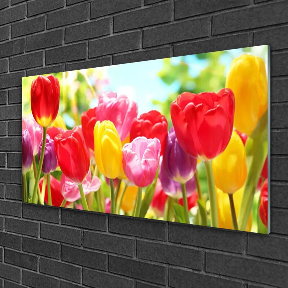 Skleneny obraz Tulipány kvety rastlina 140x70 cm