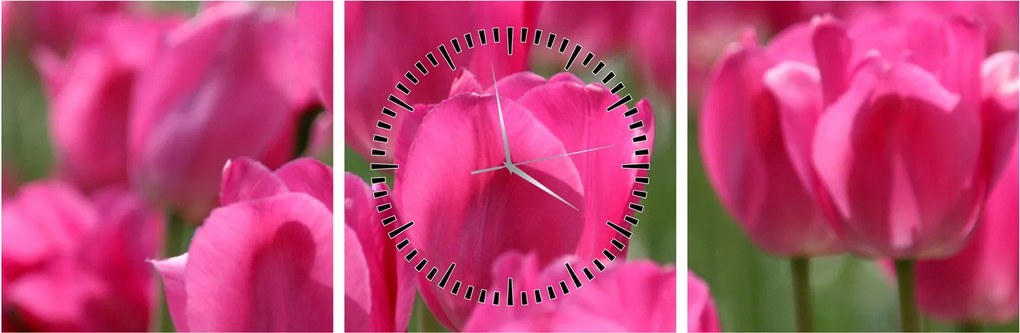 Obraz - Ružové tulipány (s hodinami) (90x30 cm)