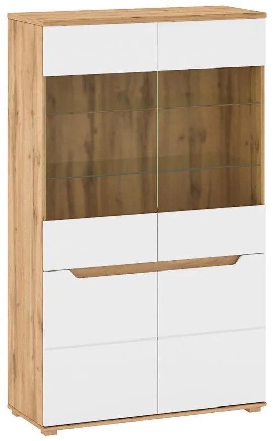 Vitrína Vincent C 2D sklo