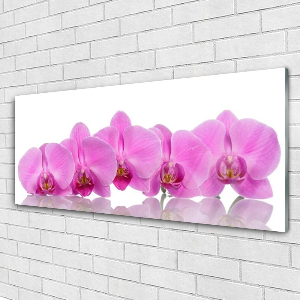 Obraz plexi Ružová orchidea kvety 125x50 cm