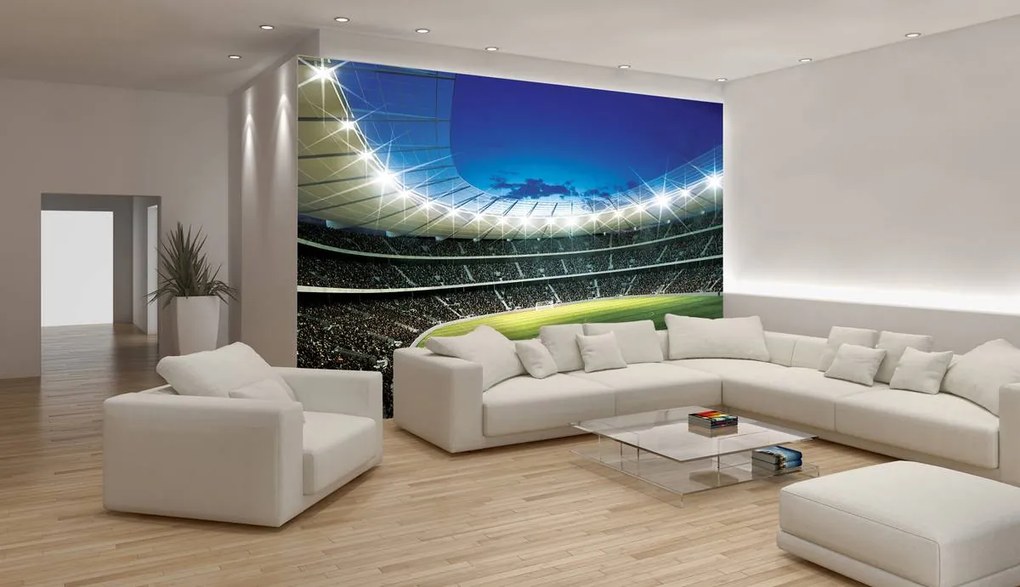 Fototapeta - Futbal (254x184 cm)