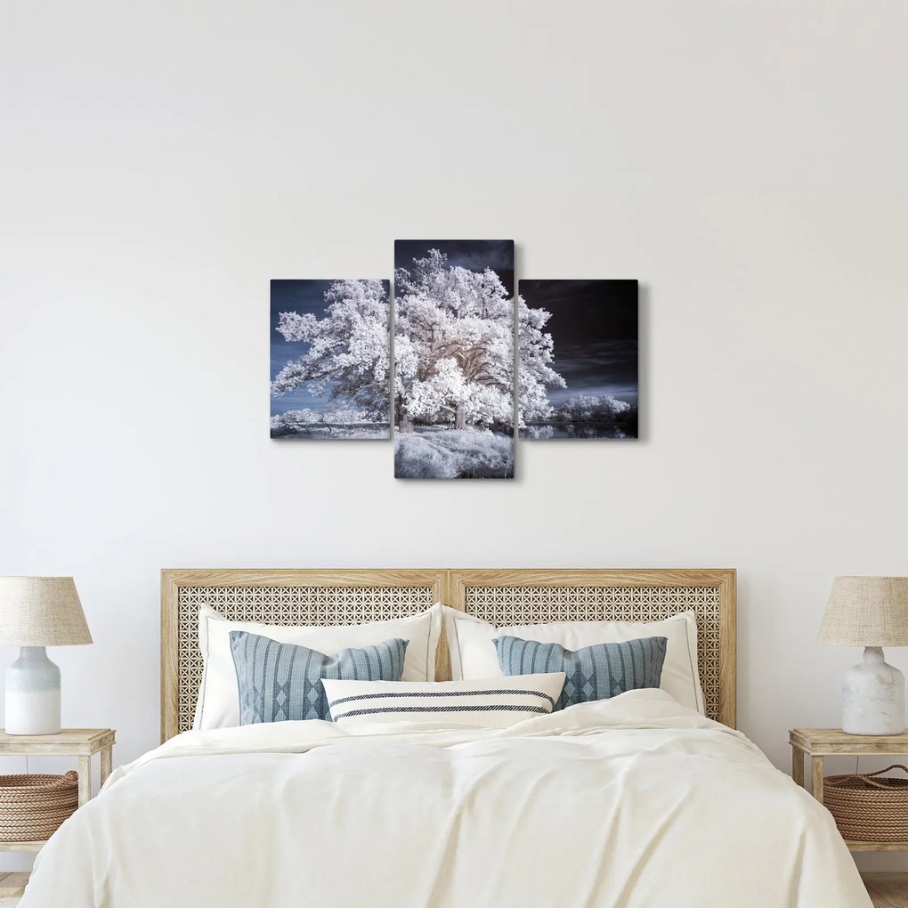 Obraz - Snehobiely strom (90x60 cm)