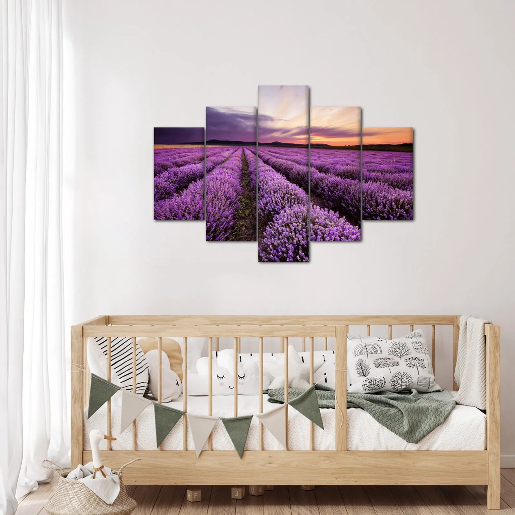 Obraz - Levanduľové pole pri západe slnka (150x105 cm)