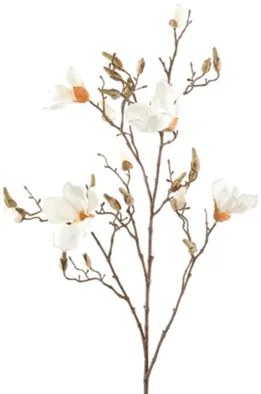 Magnolia Cream branche v. 105cm