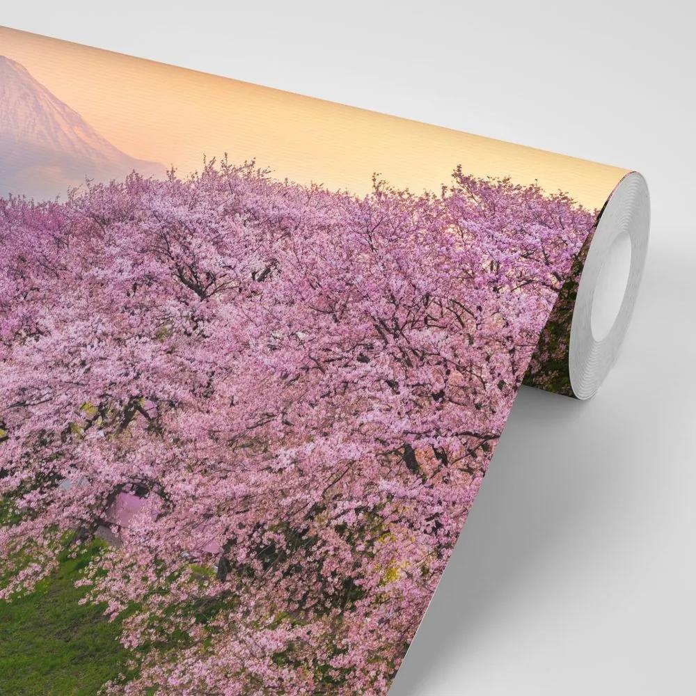 Samolepiaca fototapeta nádherné Japonsko - 450x300