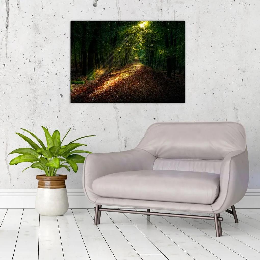 Sklenený obraz lesnej cesty (70x50 cm)