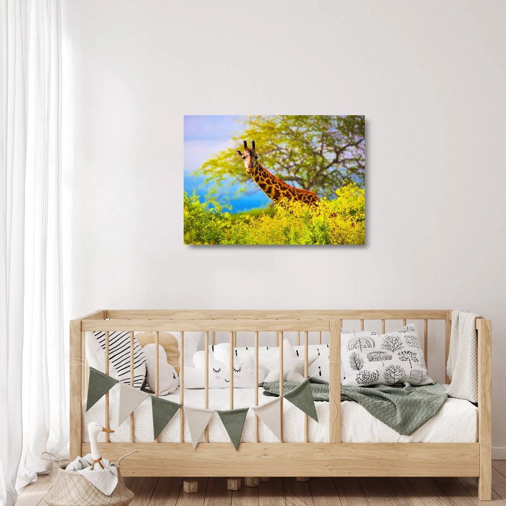Sklenený obraz žirafy v Afrike (70x50 cm)